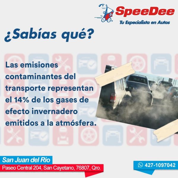 WhatsApp Image 2020-07-29 at 12.57.51 PM (1)