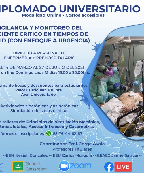 diplomado universitario